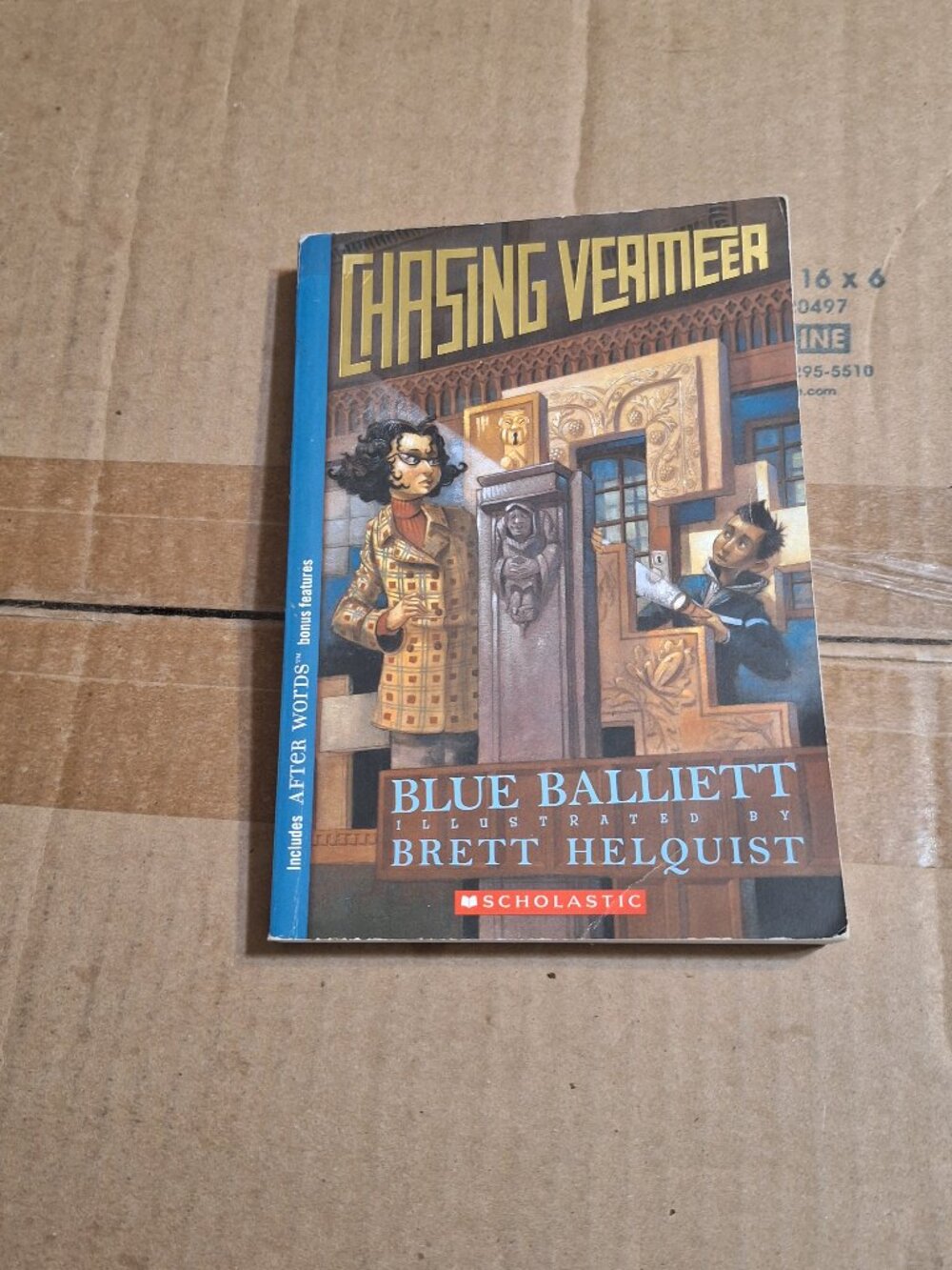 chasing vermeer